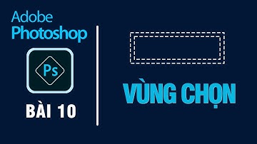 Bài 10 | Vùng chọn và sử dụng vùng chọn trong Photoshop
