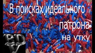 В поисках идеального патрона на утку #2 В поисках идеального патрона на утку #2