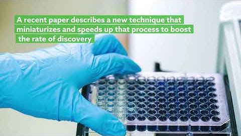 A new ultra-high throughput screening technique detects human glycans degradation pathways in IBD