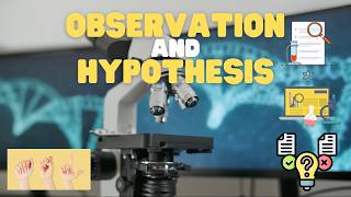 asl observation hypothesis