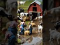 TINY LIFE: A Miniature Farm You Have to See to Believe!"#MiniatureLife #TinyWorld #MiniatureArt