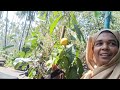 ഇത് നമ്മുടെ അടുത്തുള്ള ഗാർഡൻ ആണ്