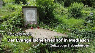 Der evangelische Friedhof in Mediasch / 2023