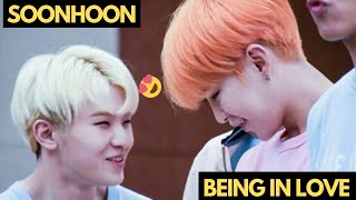 SEVENTEEN 세븐틴 SOONHOON / Hoshi and Woozi MOMENTS