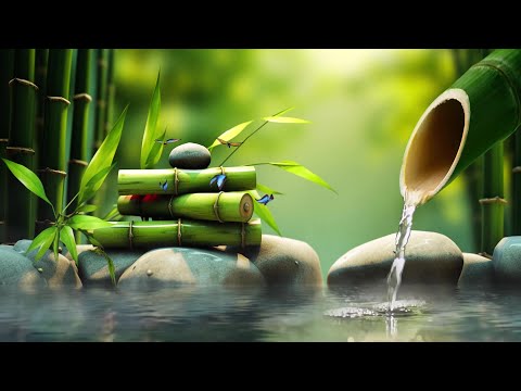 Relaxing Meditation Music 🌿 Healing Energy, Deep Sleep, Work Focus & Gentle Nature Sounds