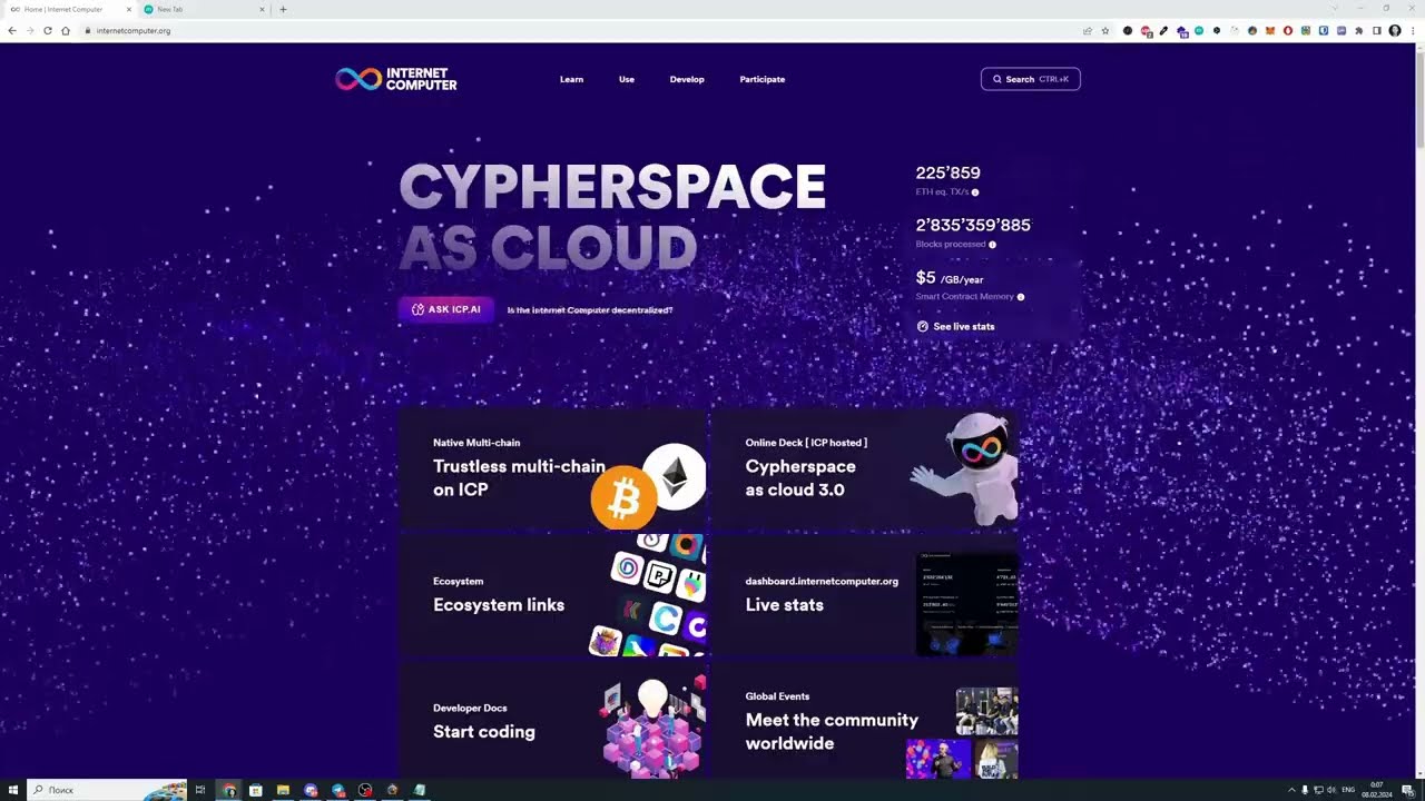 ICP developer grant final progress report