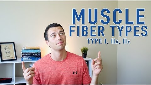 Muscle Fiber Types Explained: Type 1, Type 2a, Type 2x | Muscle Physiology and Training Adaptations