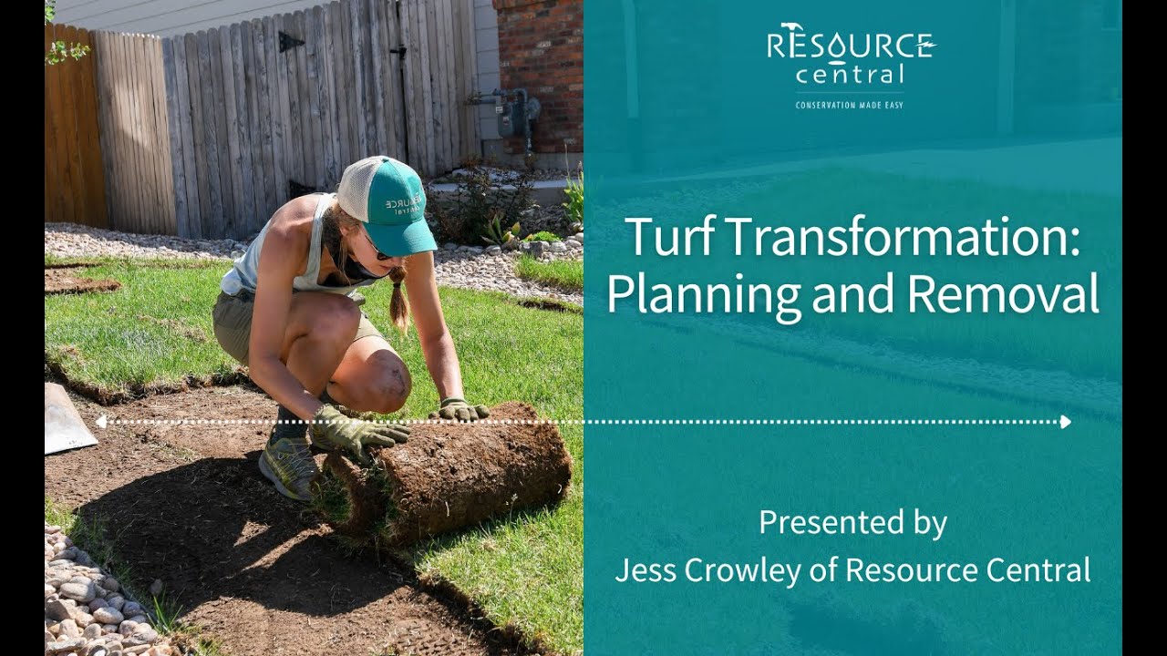 Turf Transformation: Planning and Removal