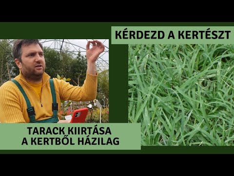 Videó: Kúszó fű kezelése – Megszabadulni a kúszó fűtől a pázsiton