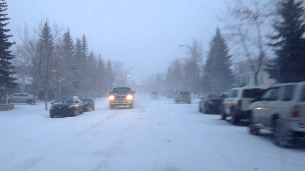 meet the blizzard - calgary-2-12-13 - YouTube