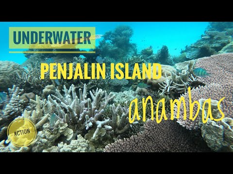 Penjalin Anambas - Underwater Penjalin Island  @MartoyoOthoy