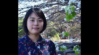 20220405 Dr Yuri Ogawa explains how butterflies see the world