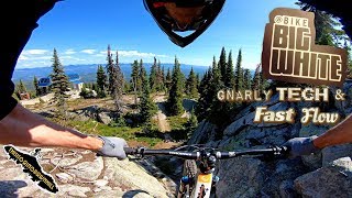 Mountain Biking in British Columbia-Big 