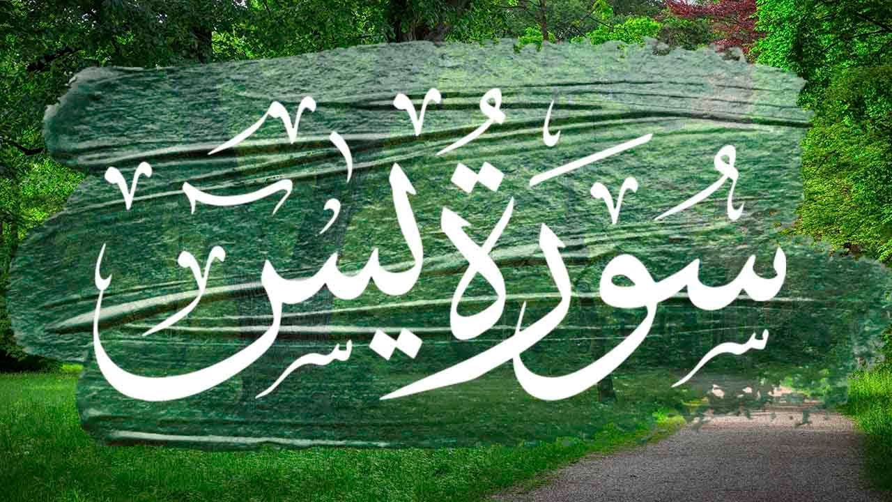 سورة ياسين (يس) تلاوة هادئة جدا 💚  لامثيل لها  💚 || برواية ورش عن نافع