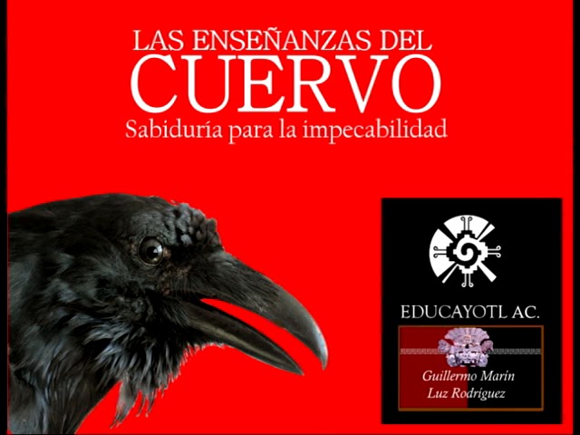 296.- 2 Las Enseñanzas del Cuervo