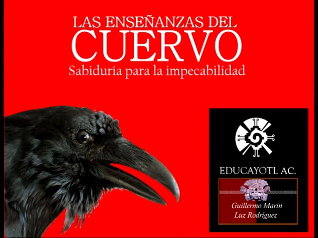 598.- 265 Las enseñanzas del cuervo