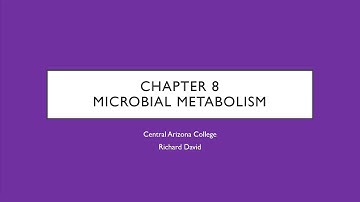 BIO205 - Chapter 8 - Microbial Metabolism