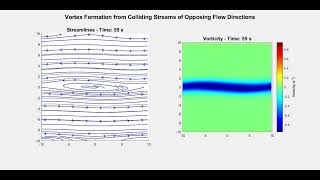 Celebrity MATLAB Simulation of Vorticity Evolution Under Various Initial Conditions Wealth