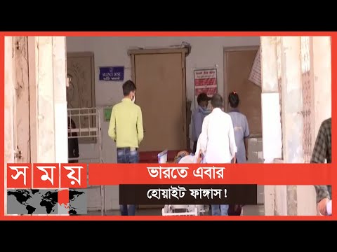 ভিডিও: হোয়াইট মরিচ কি