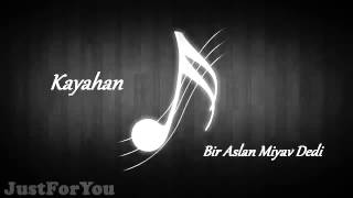 Kayahan - Bir Aslan Miyav Dedi Resimi