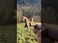 Petit trésor d’enfance #metaldetecting #treasuresearch