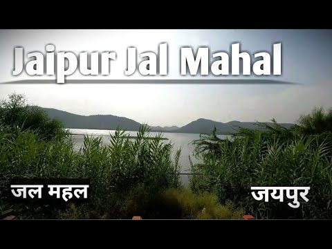 JAL MAHAL JAIPUR ख़ूबसूरत नज़र एक बार ज़रूर देखिये I जल महल I जयपुर #Jaipur tourist places