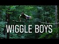 Wiggle Boys - Highline Freestyle Edit