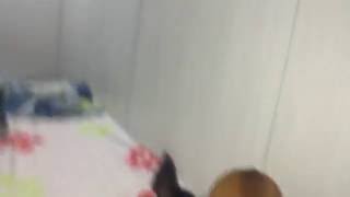 Peleando Las Niñas De La Casa