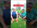 প্রতিদিন পেলকা আর আলুর ভর্তা  | @SagorHasi