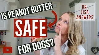 Is peanut butter SAFE for dogs? | Veterinarian Dr. Lisa answers (2018)