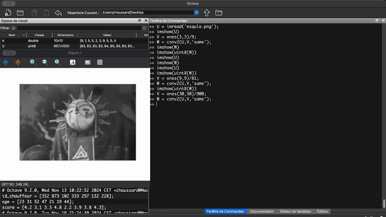 Sup Galilée - INGE1 - Matlab/Octave - Convolution de vecteurs et de matrices
