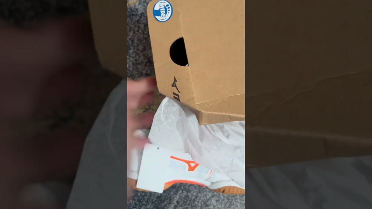 Sepatu badminton mizuno Wet fang original 