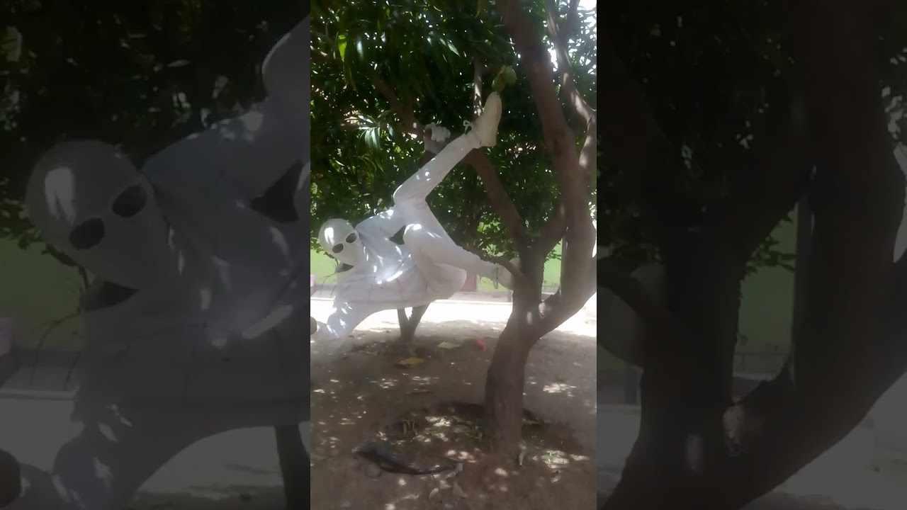 whhite  just help a child  see more