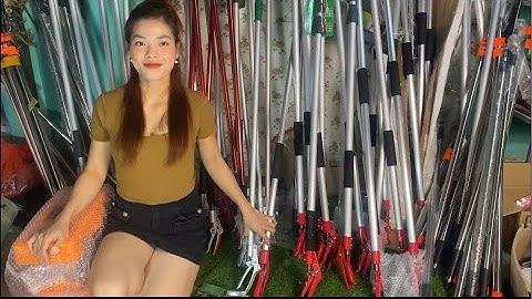 THU RĂNG TO sắp phát trực tiếp!