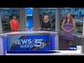 Alligator spotted on MLK Avenue