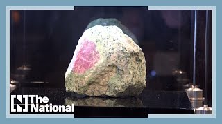 Rough ruby worth $120 million unveiled in Dubai