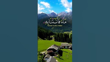 القارئ الشيخ  محمد الفقيه | قرآن كريم بصوت جميل
