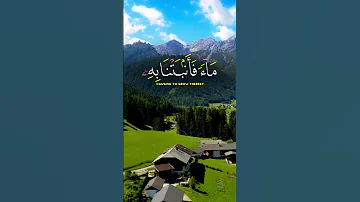 القارئ الشيخ محمد الفقيه قرآن كريم بصوت جميل 