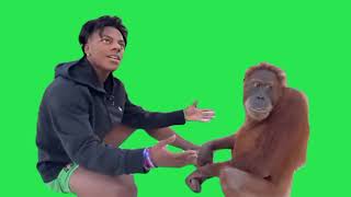 iShowSpeed Meets a monkey  Green Screen 👽😅