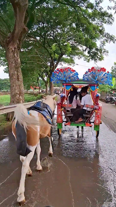 Naik Dokar Keliling jalan Raya #naikkuda #kudadelman #horses
