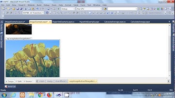 ASP  NET #6  |  Image And ImageButton  |  By Pankaj Panjwani  |  Hindi