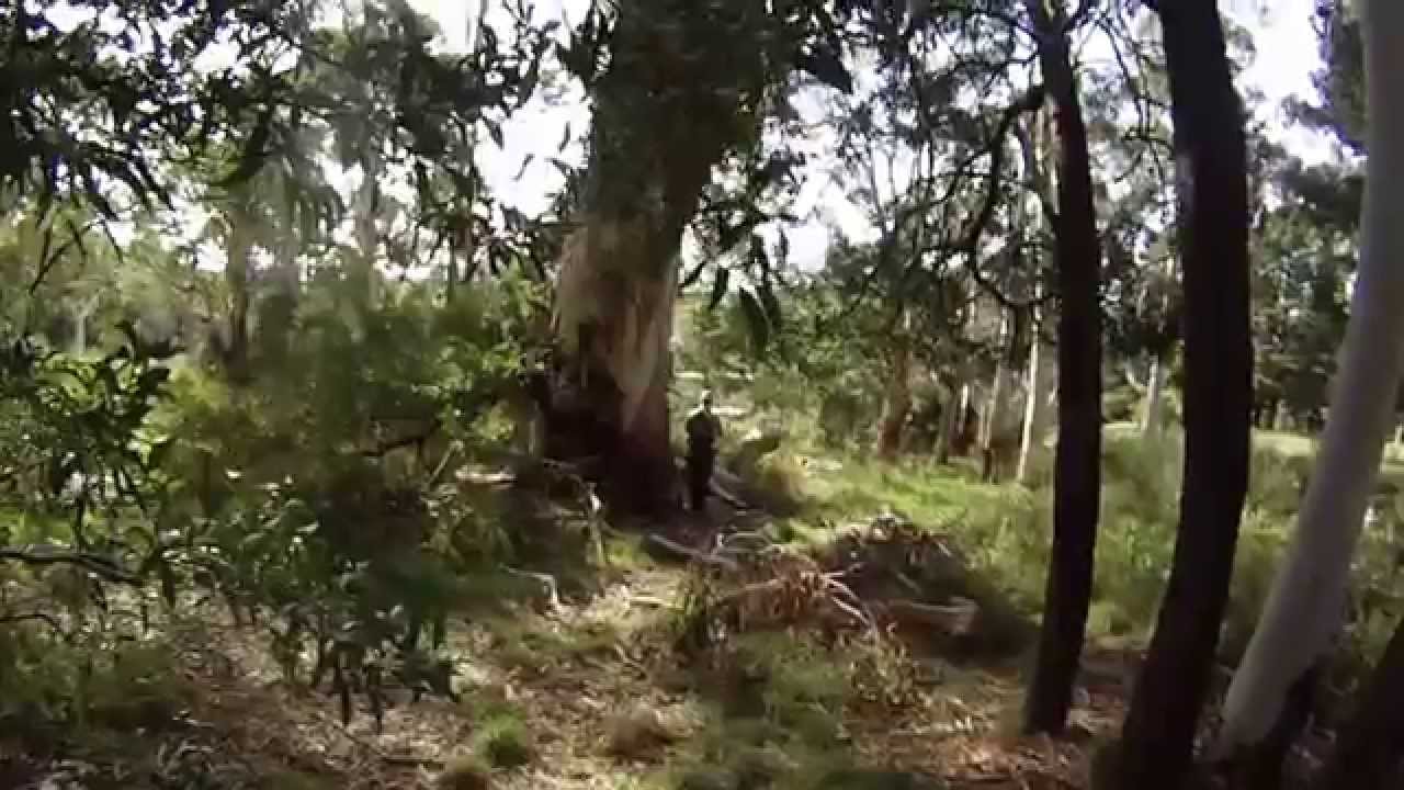 Milsim Evolution 4 MilSkills