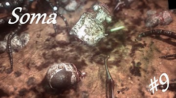 Soma Lp Ep 9: Making Friends With the Fishes
