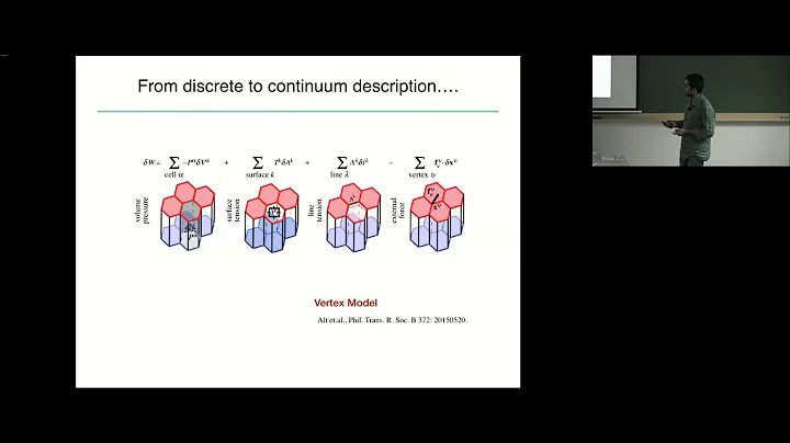 Electrohydrodyna...  of epithelial tissues  by  Ni...