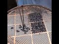 limpieza de filtro de partículas (video corto)