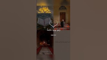 𝑸𝒖𝒓𝒂𝒏♡أكتب شيء تؤجر عليه|#عبدالرحمن_مسعد#راحة_نفسية#سورة الغاشیە#viral🤎💫