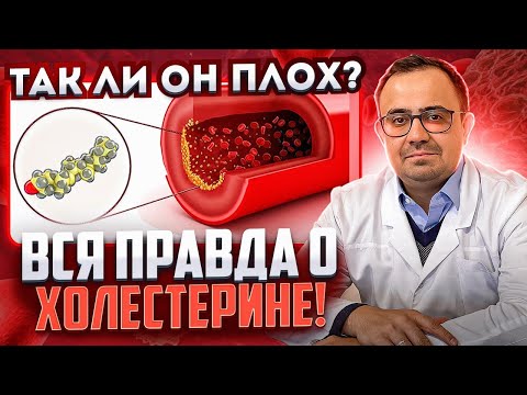 Вся правда о холестерине! Так ли он плох на самом деле?