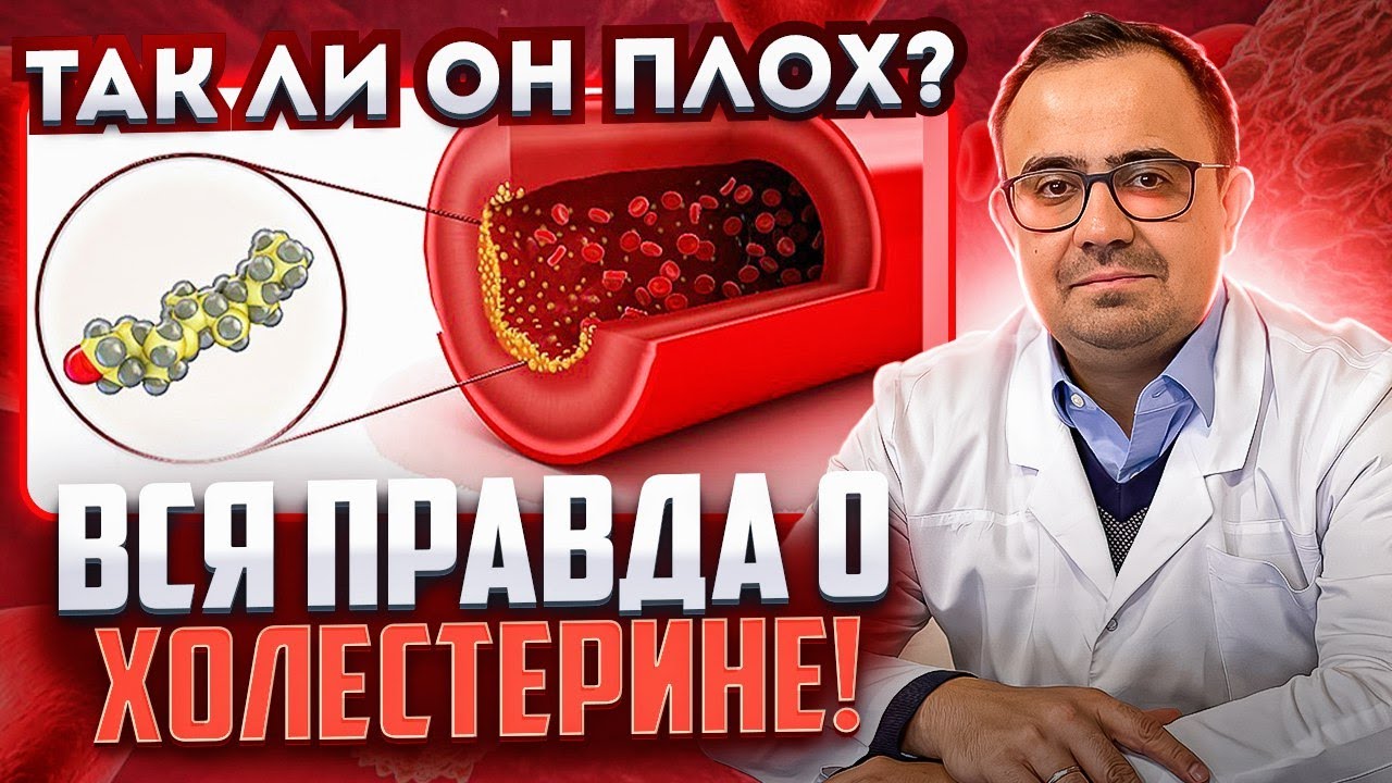 Вся правда о холестерине! Так ли он плох на самом деле?