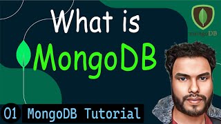 Famous What is MongoDB | MongoDB Tutorial Net Worth