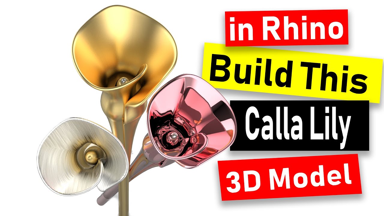 Calla Lily 3D Model in Rhino 6: CAD Jewelry Design Tutorial #86